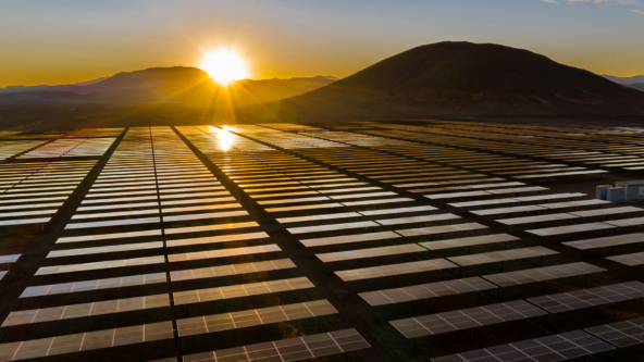 The Octopus Early Stage Innovation Company