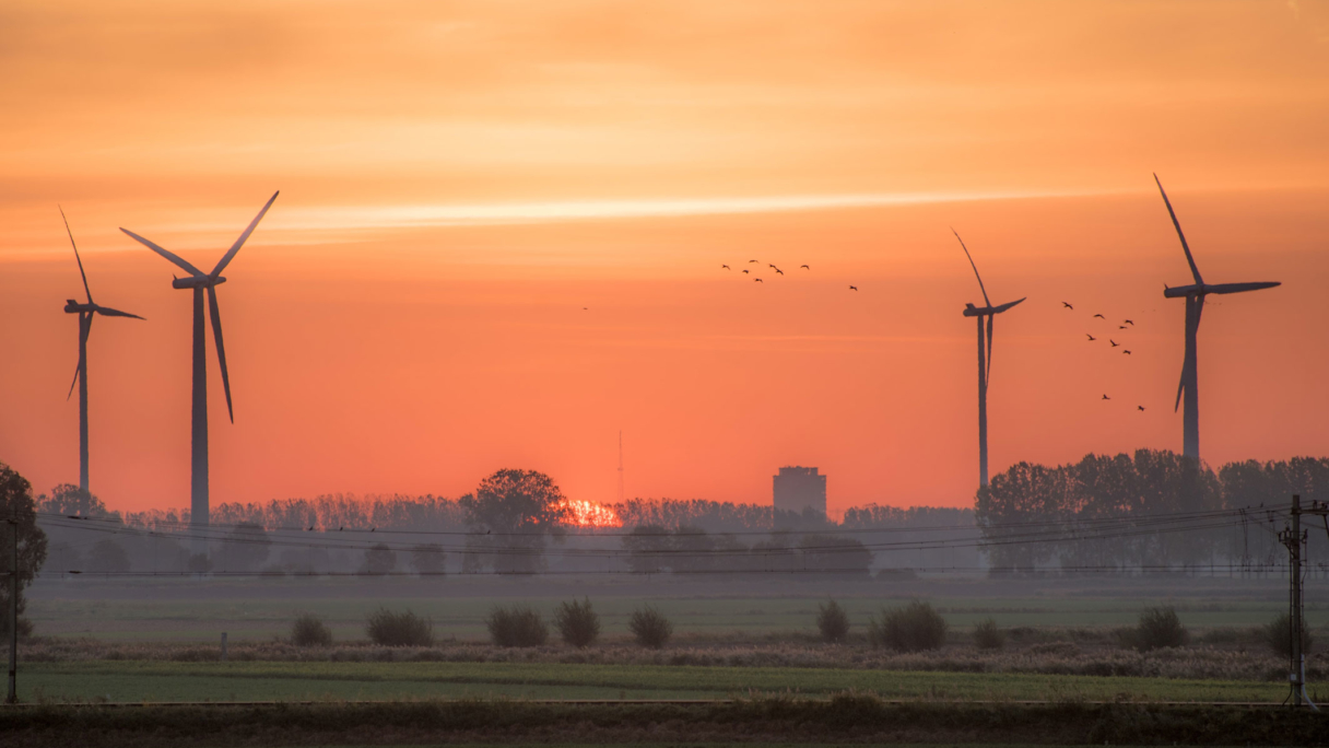 Wind farm at dusk