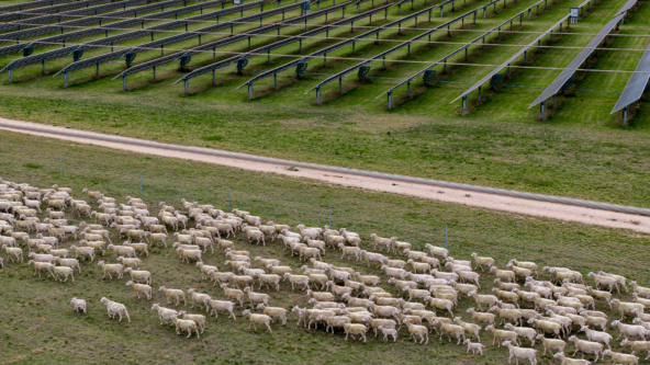 Octopus Australia’s Blind Creek Solar Farm and Battery achieves major development milestone to progress towards construction